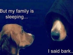 darth bark Meme Template