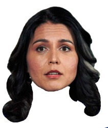 Tulsi Gabbard Meme Template