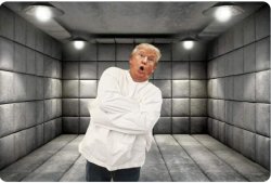 Demented Donald thinks he's king, not president. Senile dementia Meme Template