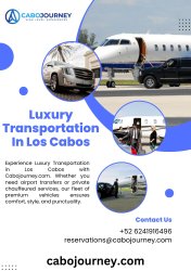 Luxury Transportation In Los Cabos Meme Template
