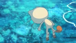 meowth floating facedown in the pool Meme Template