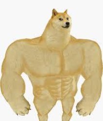 Gigachad doge Meme Template