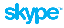 skype logo Meme Template