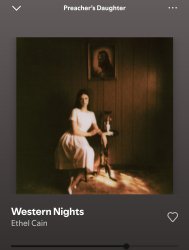 Western Nights. Meme Template