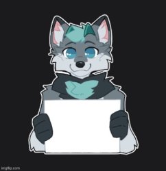 Blank STFU Meme Template