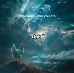 Bok Meme Template