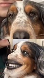 AI Dog Meme Template