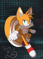 Tails knows what you did Meme Template