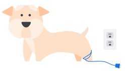 Error Dog.1671717 Meme Template