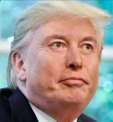Donald Trump Elon Musk hybrid Meme Template