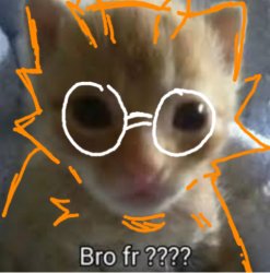 'Bro fr ????' ryn temp5 Meme Template