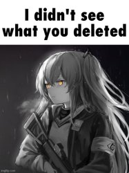 UMP45 I didn’t see what you deleted Meme Template