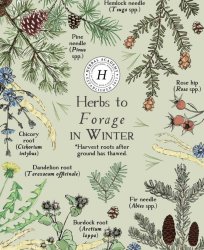 Winter Herbs For Foraging. Meme Template