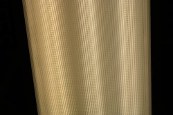 Lisa Troiano Meme Template