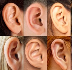 Ears Meme Template