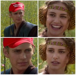 Anikin padme maga hat Meme Template