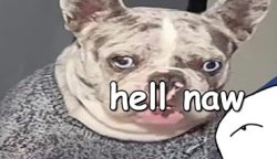 Hell naw dog Meme Template