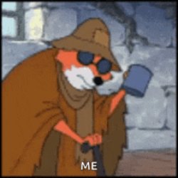 Blind fox gif Meme Template