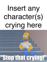 homer tells who to stop crying Meme Template