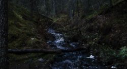 Kajaani in Finland)  Canon EOS 250D EF-S 18-55mm Meme Template