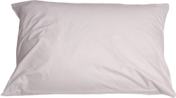 Pillow png Meme Template