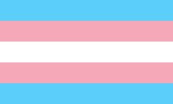 Pride Flags Meme Template
