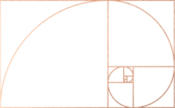 Golden ratio Meme Template