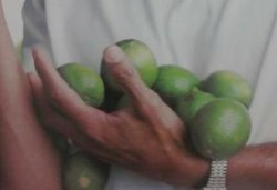 all these limes Meme Template