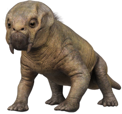 Lystrosaurus 4 Meme Template