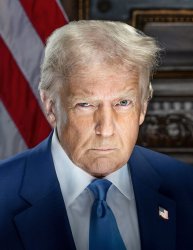 Trump Meme Template