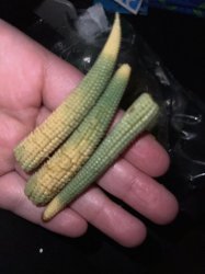 Ripe Corn Meme Template