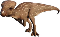 Homalocephale (JWE Design) Meme Template