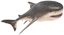 Megalodon (JWE Design) Meme Template