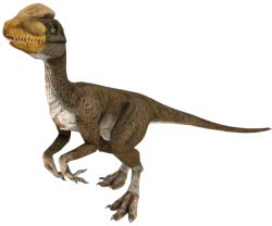 Guanlong (JWTG Design) Meme Template