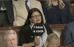 Democrat Rashida Tlaib Meme Template