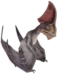 Tapejara (JWTG Design) Meme Template