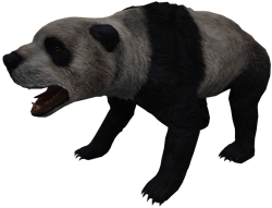 Ailurarctos (JWA Design) Meme Template
