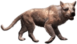 Amphicyon (JWA Design) Meme Template