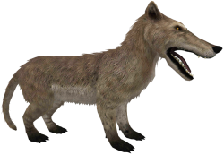 Andrewsarchus (JWTG Design) Meme Template