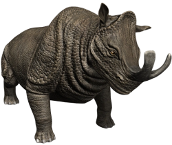 Megacerops (JWA Design) Meme Template