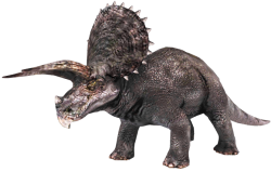 Triceratops 6 Meme Template