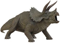 Triceratops 8 Meme Template
