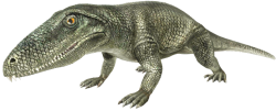 Ophiacodon (JWTG Design) Meme Template
