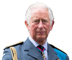 King Charles Meme Template