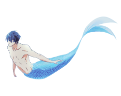 Haru as a merman Meme Template