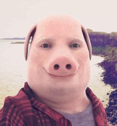 John pork Meme Template
