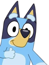 bluey camera Meme Template