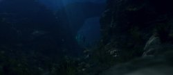 under the sea Meme Template