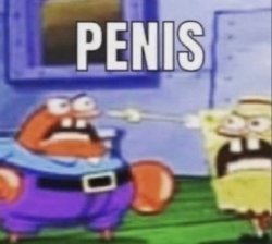PENIS Meme Template