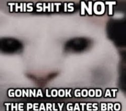 Not gonna look good at the pearly gates Meme Template